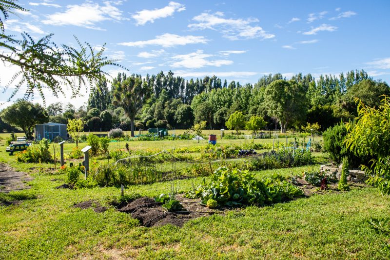 Community Gardens