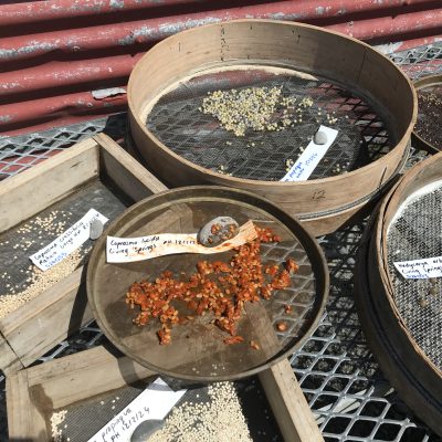 Planning Ahead For a Successful Planting Season